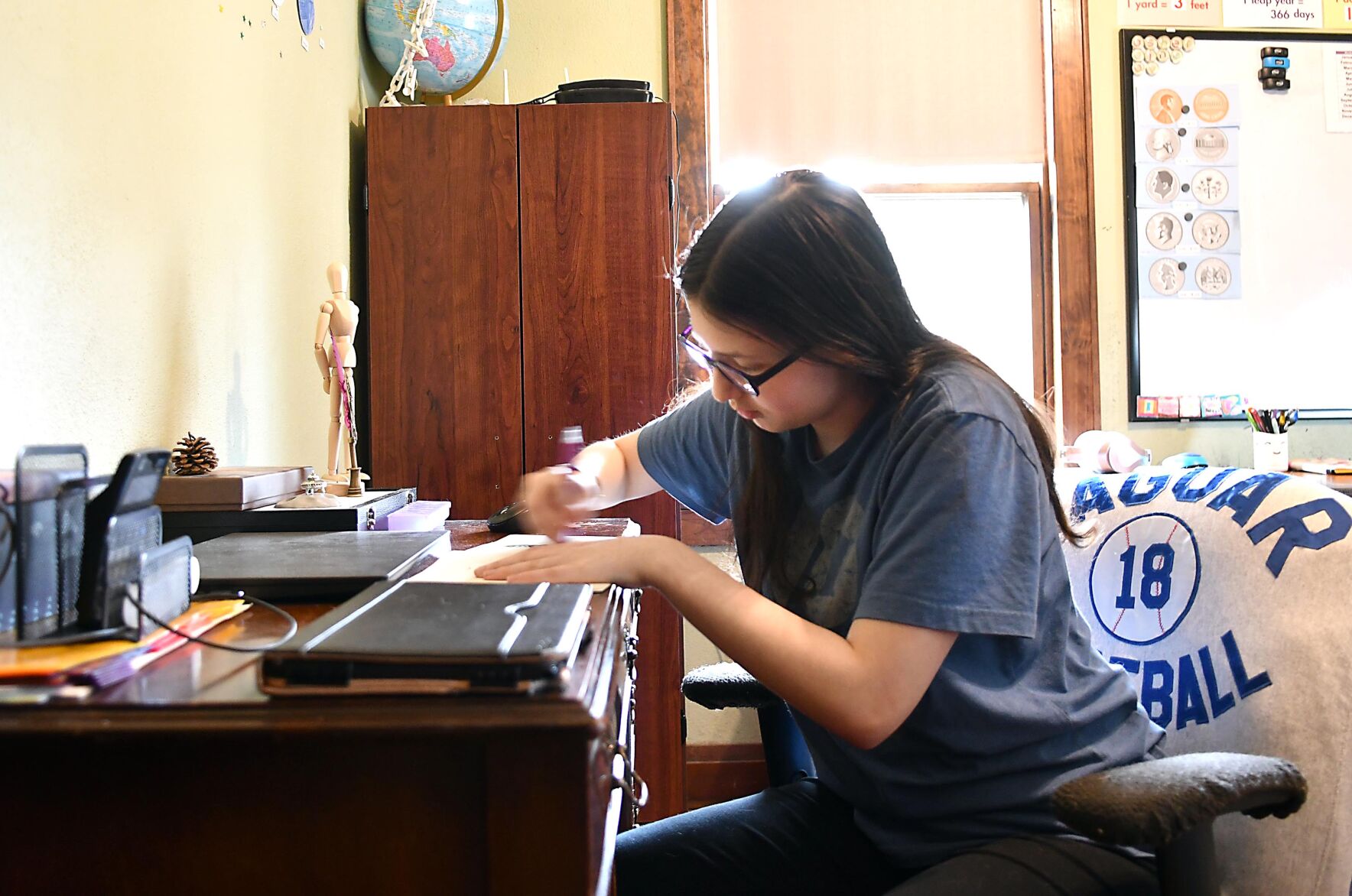 Homeschooling 3